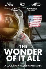 The Wonder of It All poster