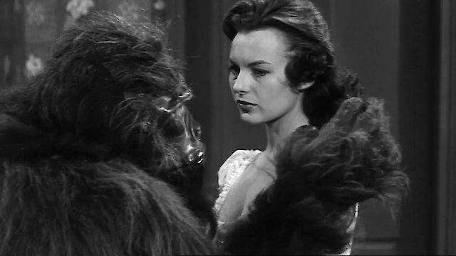 Watch The Bride and the Beast Online