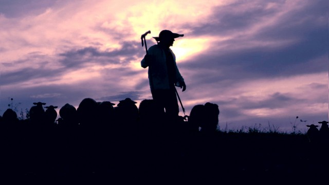 Watch Refugee Lullaby Online