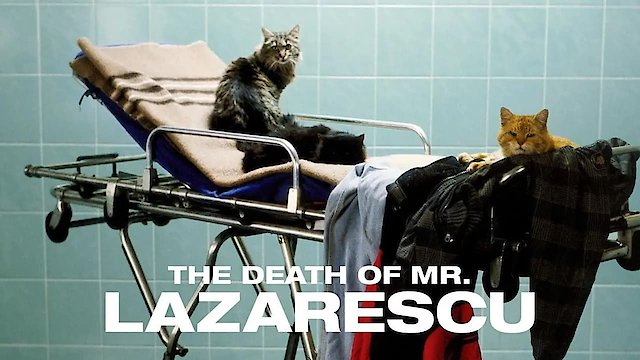 Watch The Death of Mr. Lazarescu Online