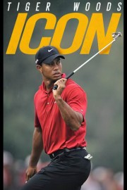 Tiger Woods: Icon poster