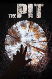The Pit poster