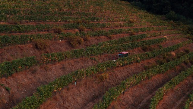 Watch A Wonderful Kingdom Online