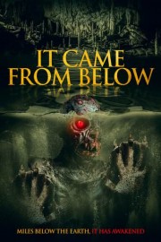 It Came from Below poster
