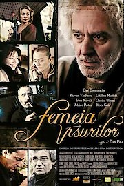 Femeia visurilor poster