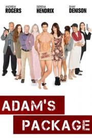 Adam's Package poster