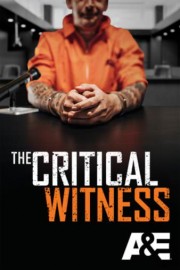 The Critical Witness