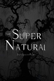 The Supernatural poster