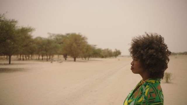 Watch The Great Green Wall Online