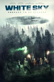 White Sky poster