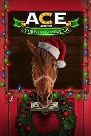 Ace and the Christmas Miracle