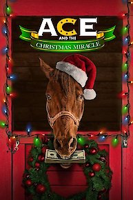 Ace and the Christmas Miracle