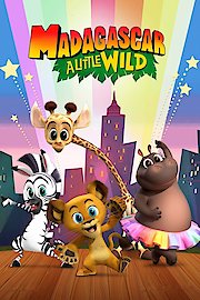 Madagascar: a Little Wild - Holiday Goose Chase poster