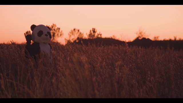 Watch Panda Bear It Online