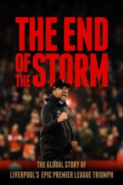 The End of the Storm poster