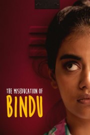 The MisEducation of Bindu poster