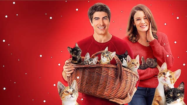 Watch The Nine Kittens of Christmas Online