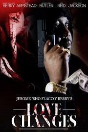 Love Changes poster