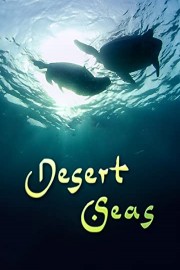 Desert Seas poster