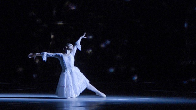 Watch Joy Womack: The White Swan Online