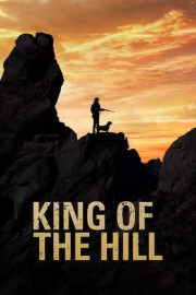King of the Hill poster