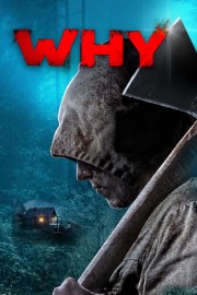 Why? poster