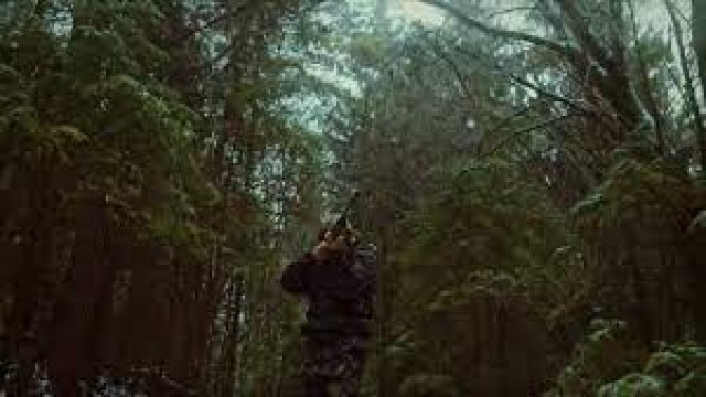 Watch Searching for Sasquatch Chapter II: The Watchers Online