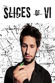 Slices of VI poster
