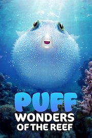 Puff: Wonders of the Reef poster