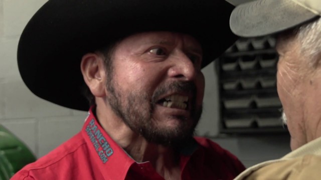 Watch El Soldado De La Mafia: Mercenario Online