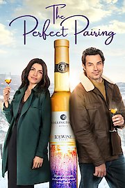 The Perfect Pairing poster