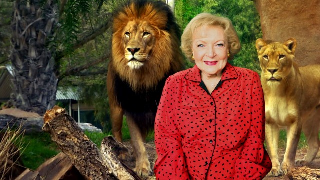 Watch Betty White Goes Wild Online