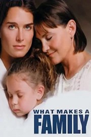 What Makes a Family poster