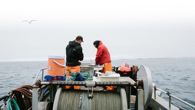 Watch Last Man Fishing Online