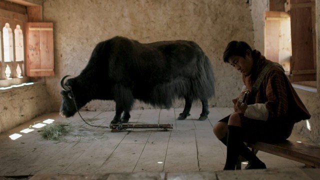 Watch Lunana: A Yak in the Classroom Online