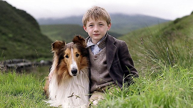 Watch Lassie Online