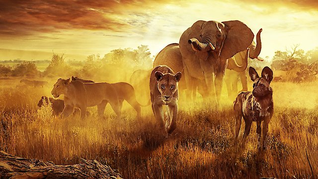 Watch Surviving Paradise: A Family Tale Online