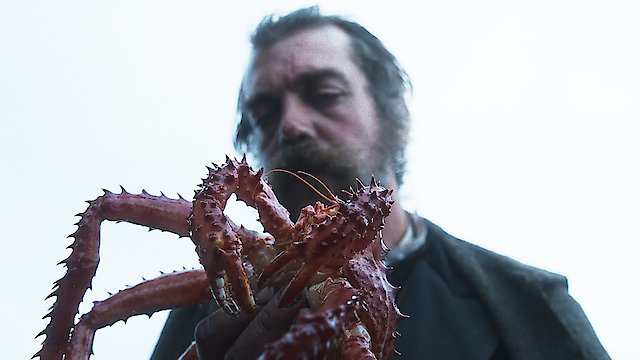 Watch The Tale of King Crab Online