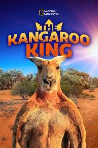 The Kangaroo King