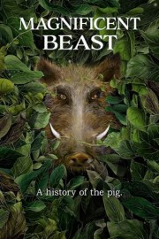 Magnificent Beast poster