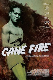 Cane Fire poster
