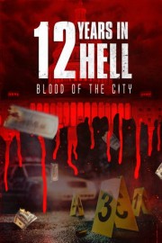 12 Years in Hell poster