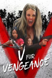 V for Vengeance poster