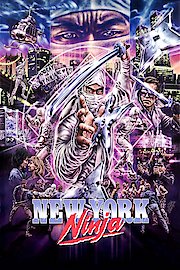 New York Ninja poster