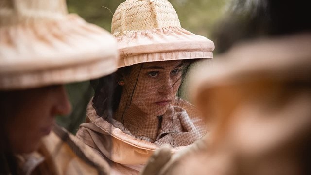 Watch The Fall of the Queens Online