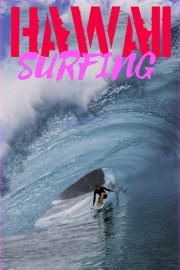 Hawaii Surfing Collection poster