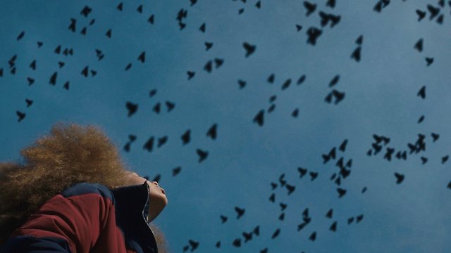 Watch Broken Bird Online