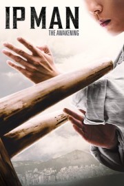 Ip Man: The Awakening poster
