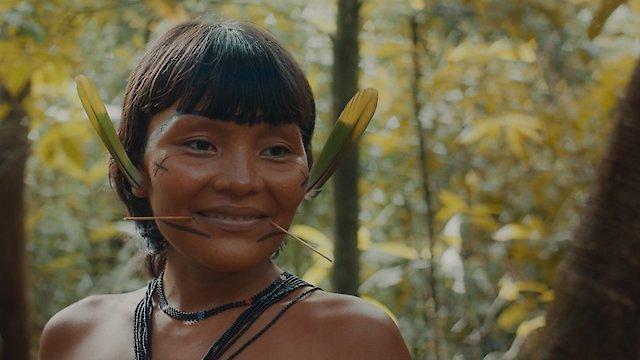 Watch The Last Forest Online