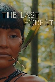 The Last Forest poster